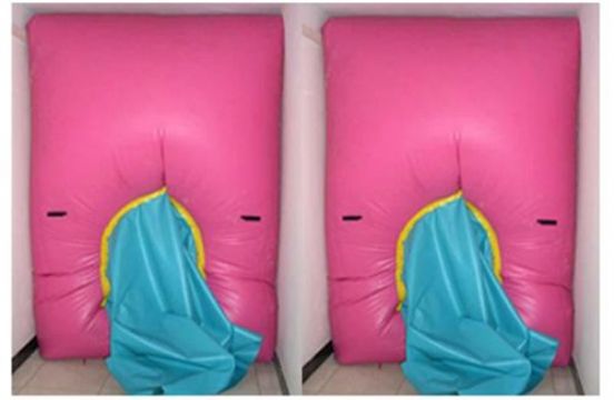 點(diǎn)擊查看詳細(xì)信息<br>標(biāo)題：快速封堵氣囊 閱讀次數(shù)：2881