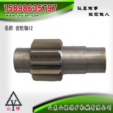 點擊查看詳細信息<br>標題：齒輪軸12 江陰系列配件 閱讀次數(shù)：2336