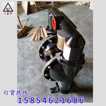 點擊查看詳細信息<br>標題：氣動隔膜泵著名品牌-氣動隔膜泵廠家 閱讀次數(shù)：2142