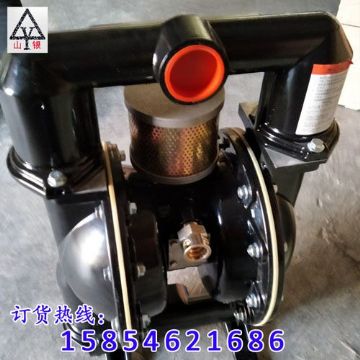 點擊查看詳細信息<br>標題：氣動隔膜泵制造銷售售后氣動隔膜泵一條龍服務 閱讀次數(shù)：1795