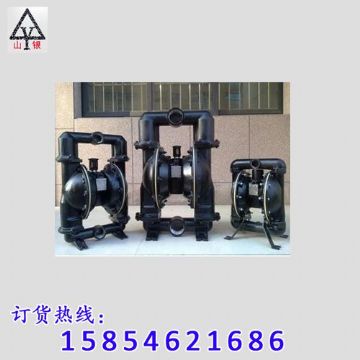 點(diǎn)擊查看詳細(xì)信息<br>標(biāo)題：氣動(dòng)隔膜泵 閱讀次數(shù)：1742