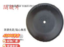 點(diǎn)擊查看詳細(xì)信息<br>標(biāo)題：氣動隔膜泵配件-隔膜片 閱讀次數(shù)：369