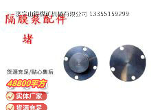 點擊查看詳細信息<br>標題：氣動隔膜泵配件-堵 閱讀次數：393