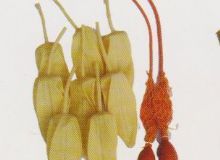 點(diǎn)擊查看詳細(xì)信息<br>標(biāo)題：取氣樣球膽 閱讀次數(shù)：324